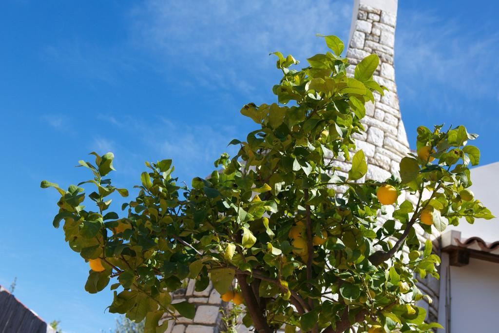 B&B La Pomelia Agrigento Bagian luar foto